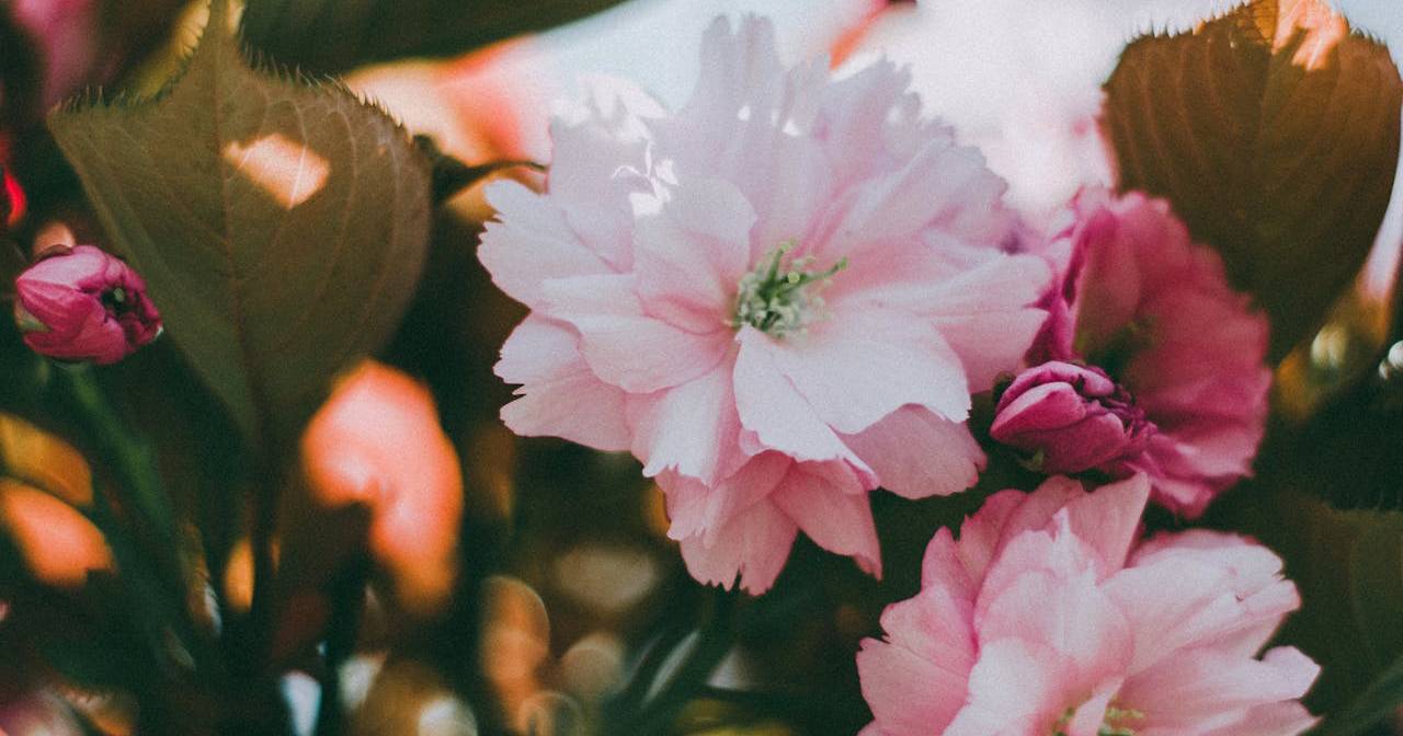 Farebná letná kytica s margarétkami, slnečnicami a levanduľou